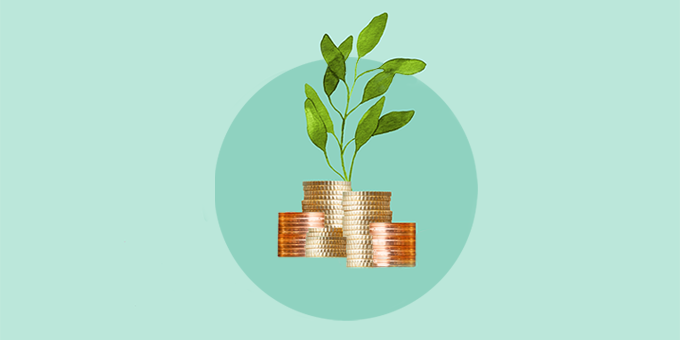 Plant surrounded by money