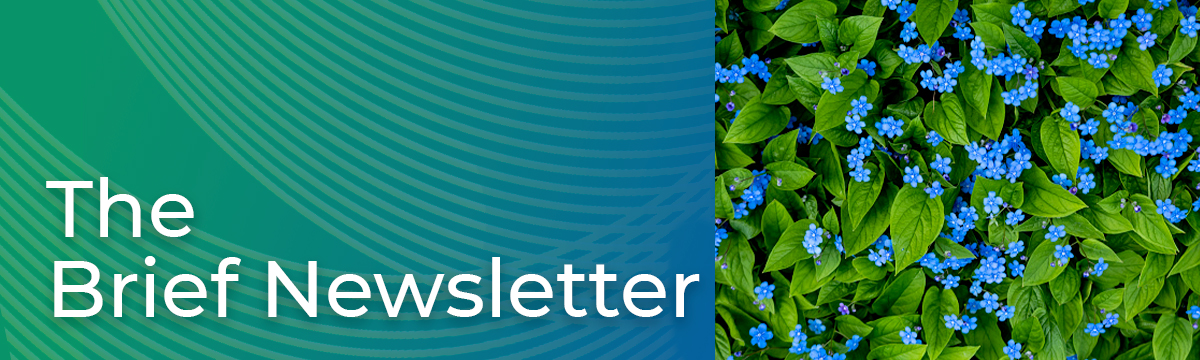 The Epiq Brief: July 2025 Edition