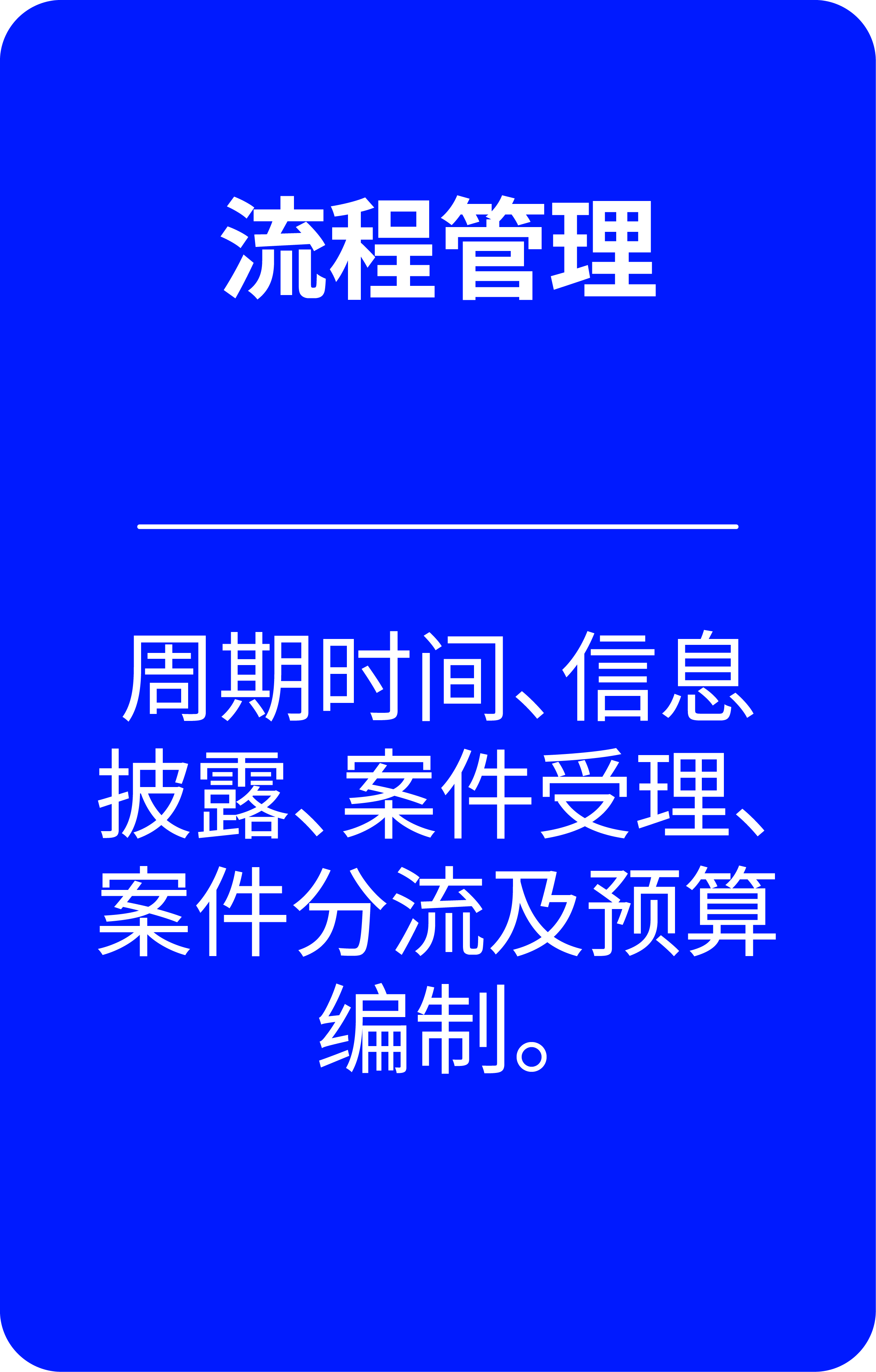 Process Flow