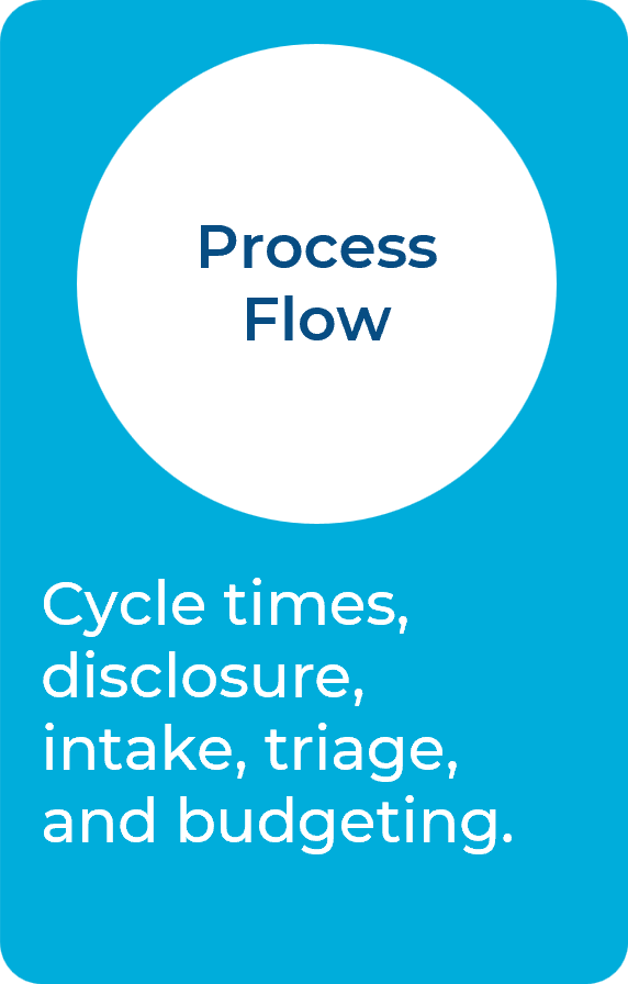 Process Flow