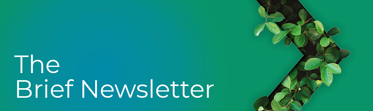 The Epiq Brief: November and December 2025