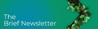 The Epiq Brief: November and December 2025